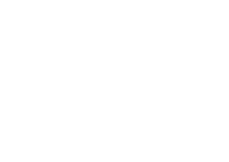 KFZ-Gutachter B45